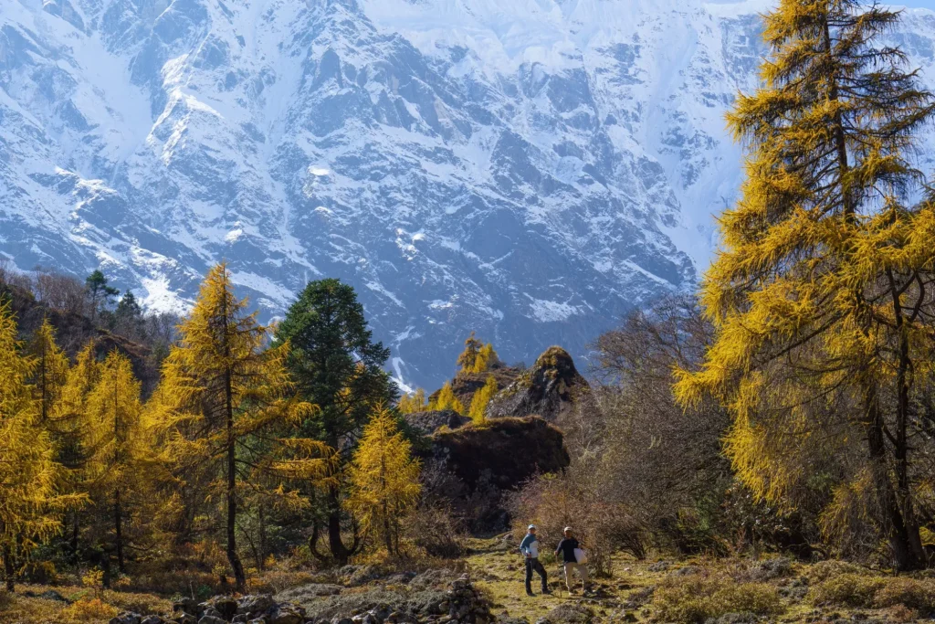 A scenic view of the Manaslu mountain range and the colorful foliage in Nepal during the Manaslu circuit trek.