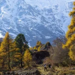 A scenic view of the Manaslu mountain range and the colorful foliage in Nepal during the Manaslu circuit trek.