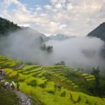 Nepal - Manaslu circuit - rice fields in lower valley